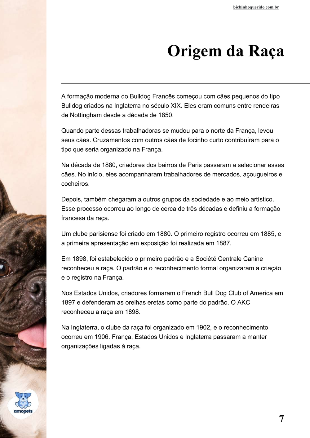origem da raça no e-book Guia de Como Cuidar do Bulldog Francês