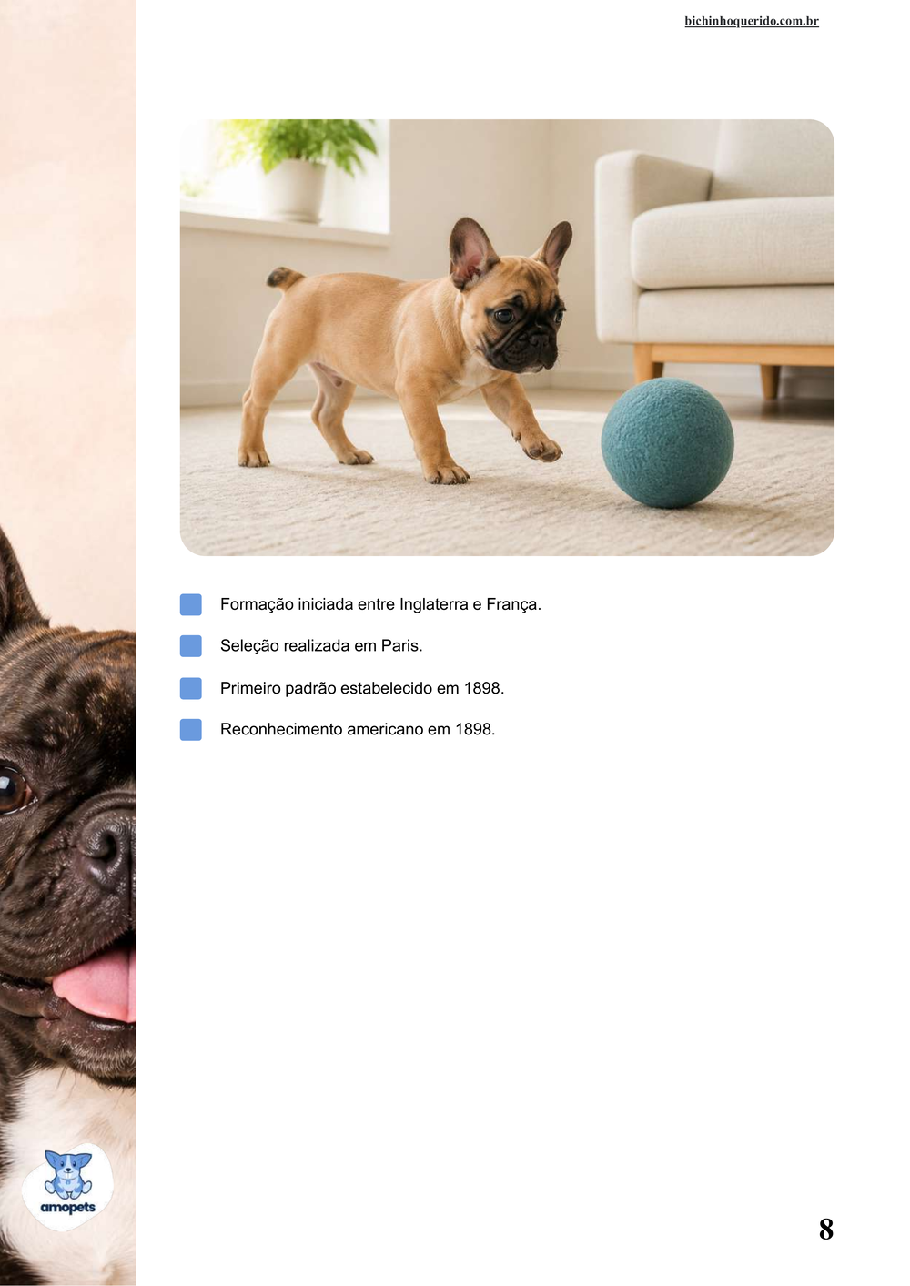 características do Bulldog Francês no e-book Guia de Como Cuidar do Bulldog Francês