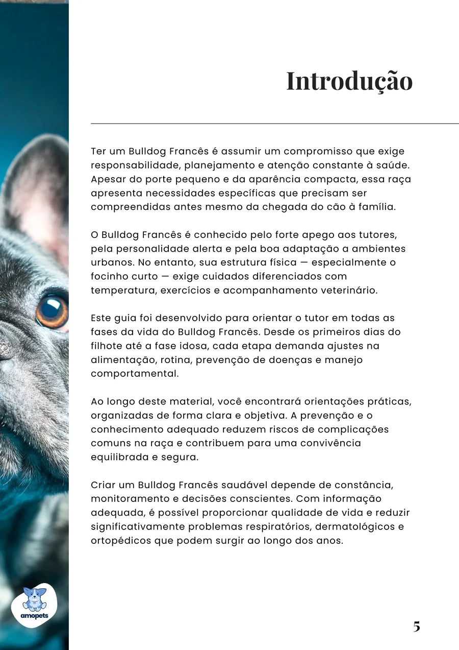 página interna do e-book Guia de Como Cuidar do Bulldog Francês