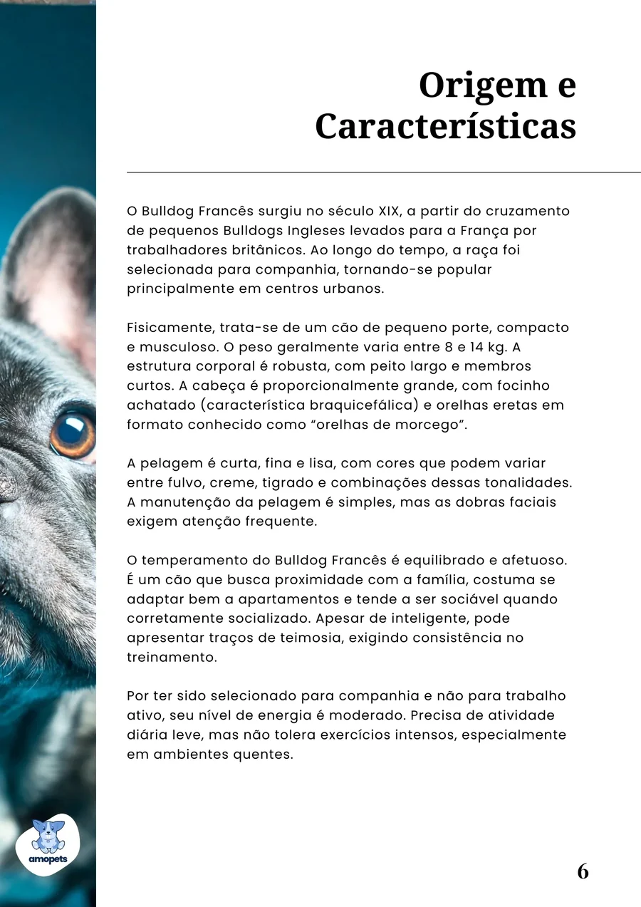 página interna do e-book Guia de Como Cuidar do Bulldog Francês