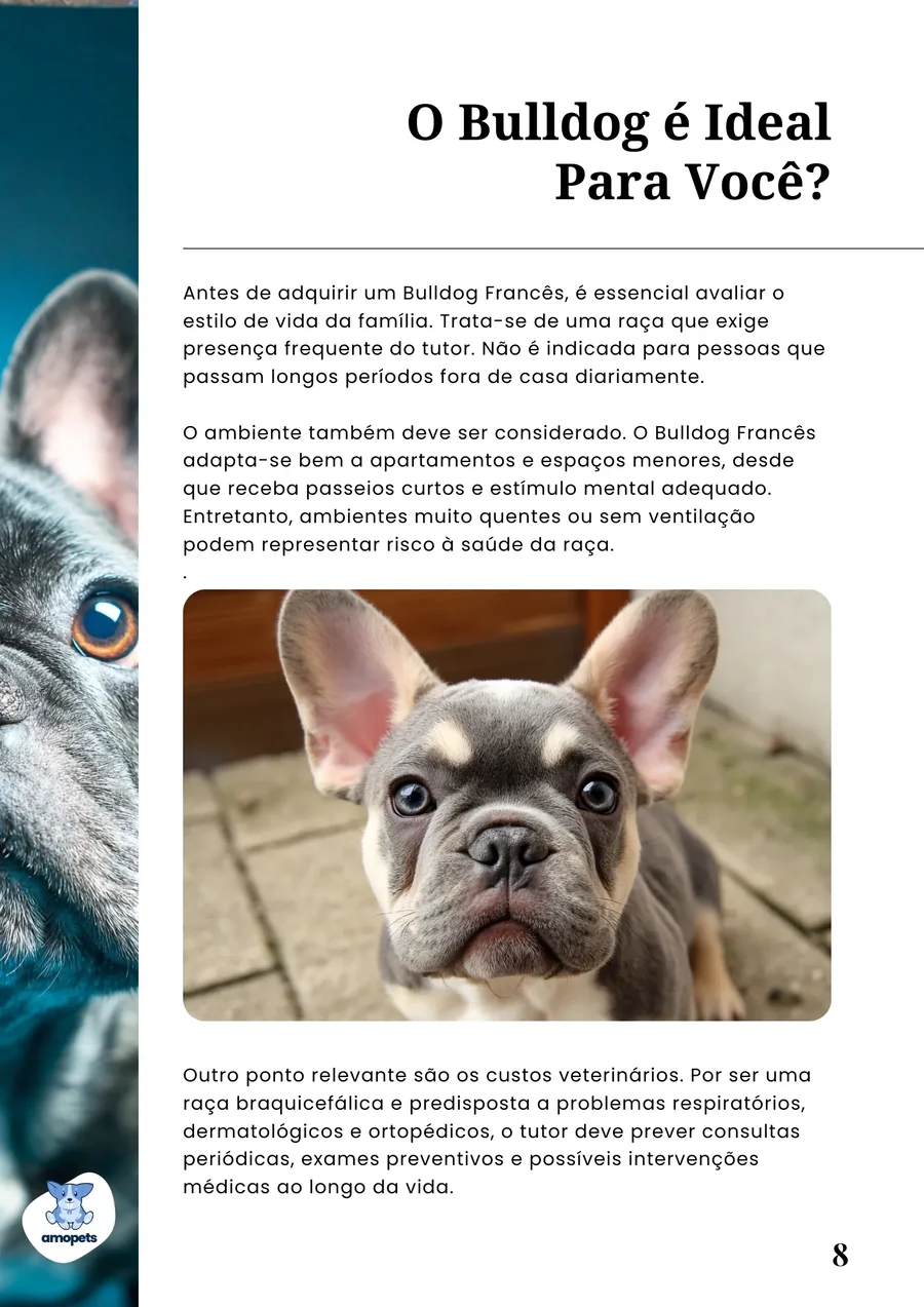 página interna do e-book Guia de Como Cuidar do Bulldog Francês