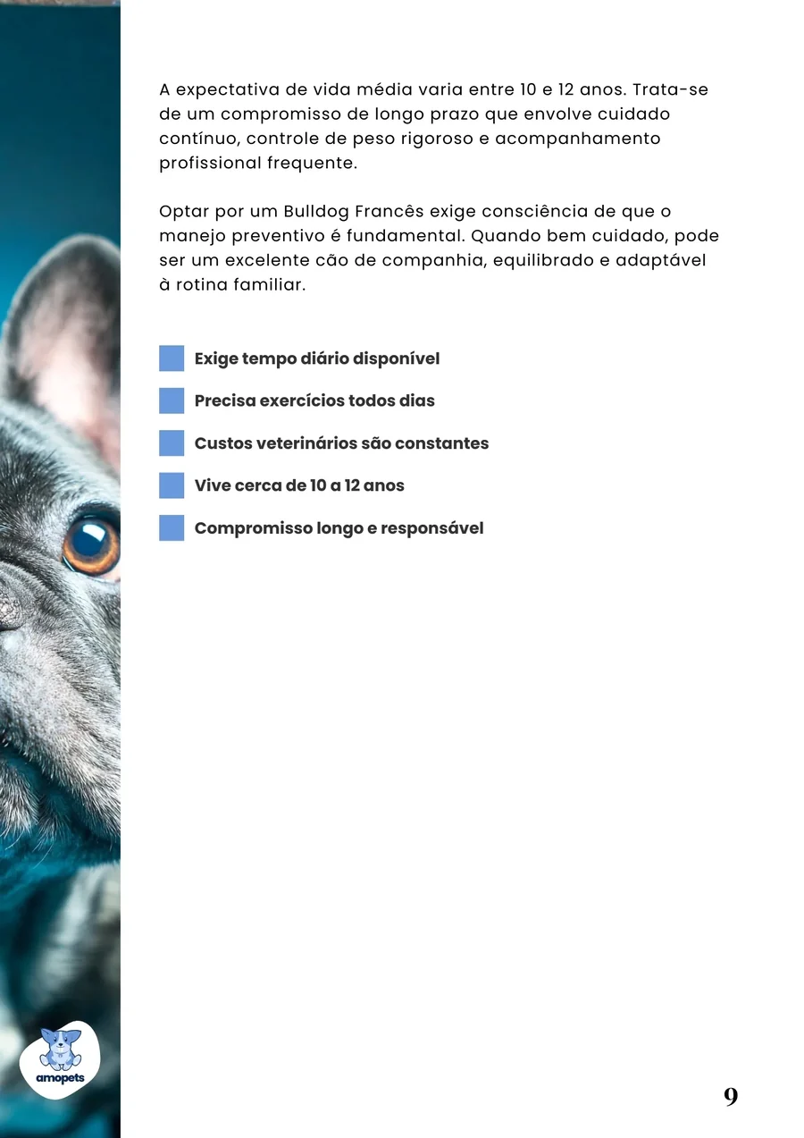 página interna do e-book Guia de Como Cuidar do Bulldog Francês