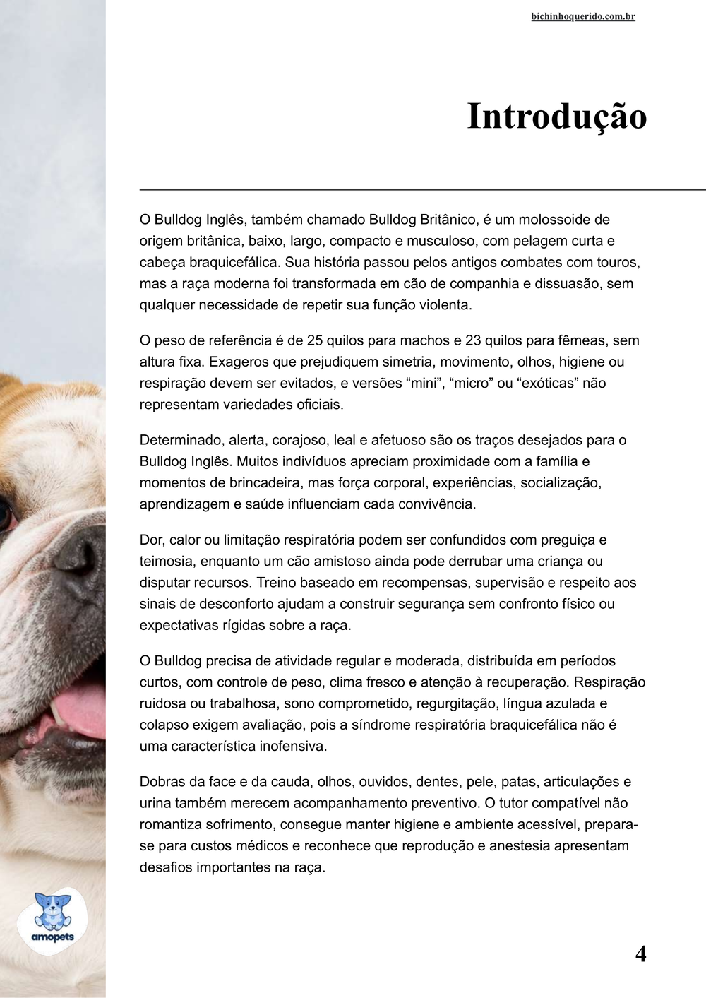 introdução do e-book Guia de Como Cuidar do Bulldog Inglês