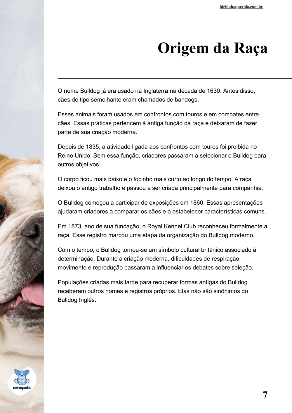 origem da raça no e-book Guia de Como Cuidar do Bulldog Inglês
