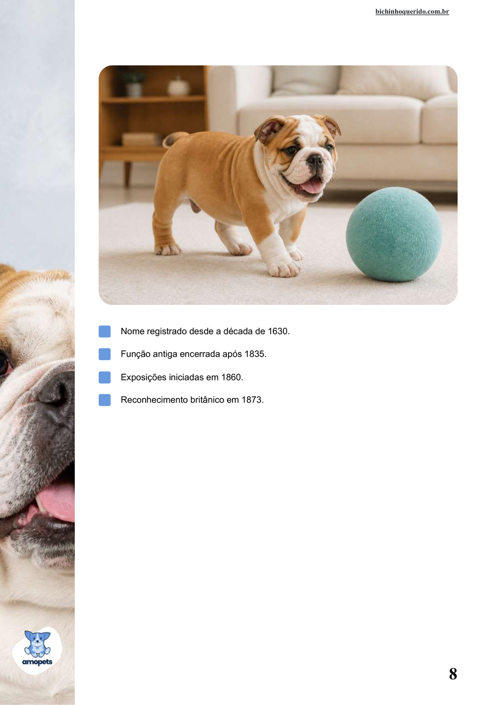 características do Bulldog Inglês no e-book Guia de Como Cuidar do Bulldog Inglês