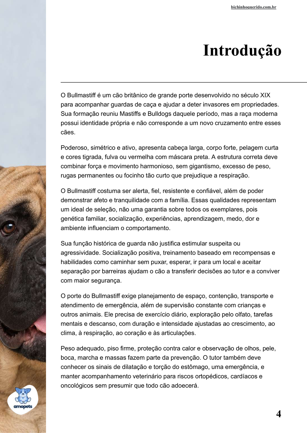 introdução do e-book Guia de Como Cuidar do Bullmastiff