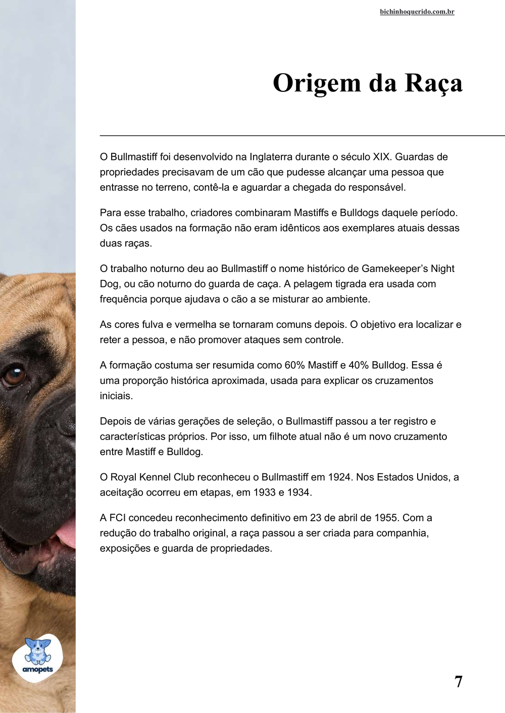 origem da raça no e-book Guia de Como Cuidar do Bullmastiff
