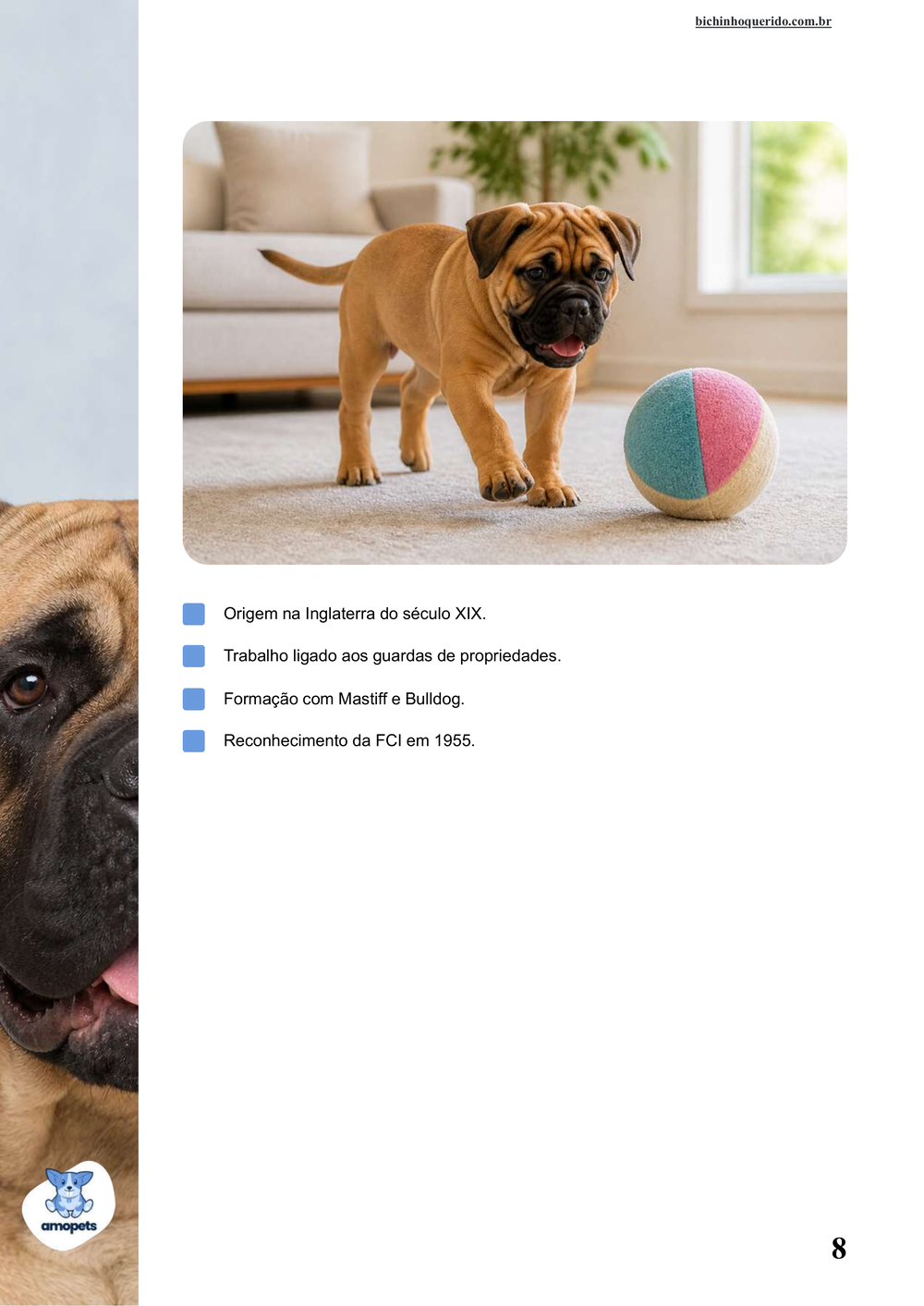 características do Bullmastiff no e-book Guia de Como Cuidar do Bullmastiff