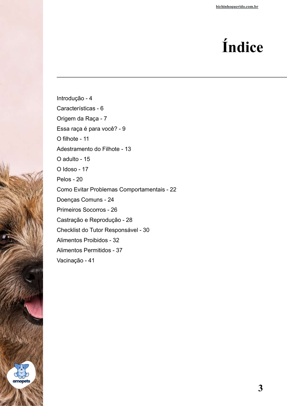 índice do e-book Guia de Como Cuidar do Cairn Terrier