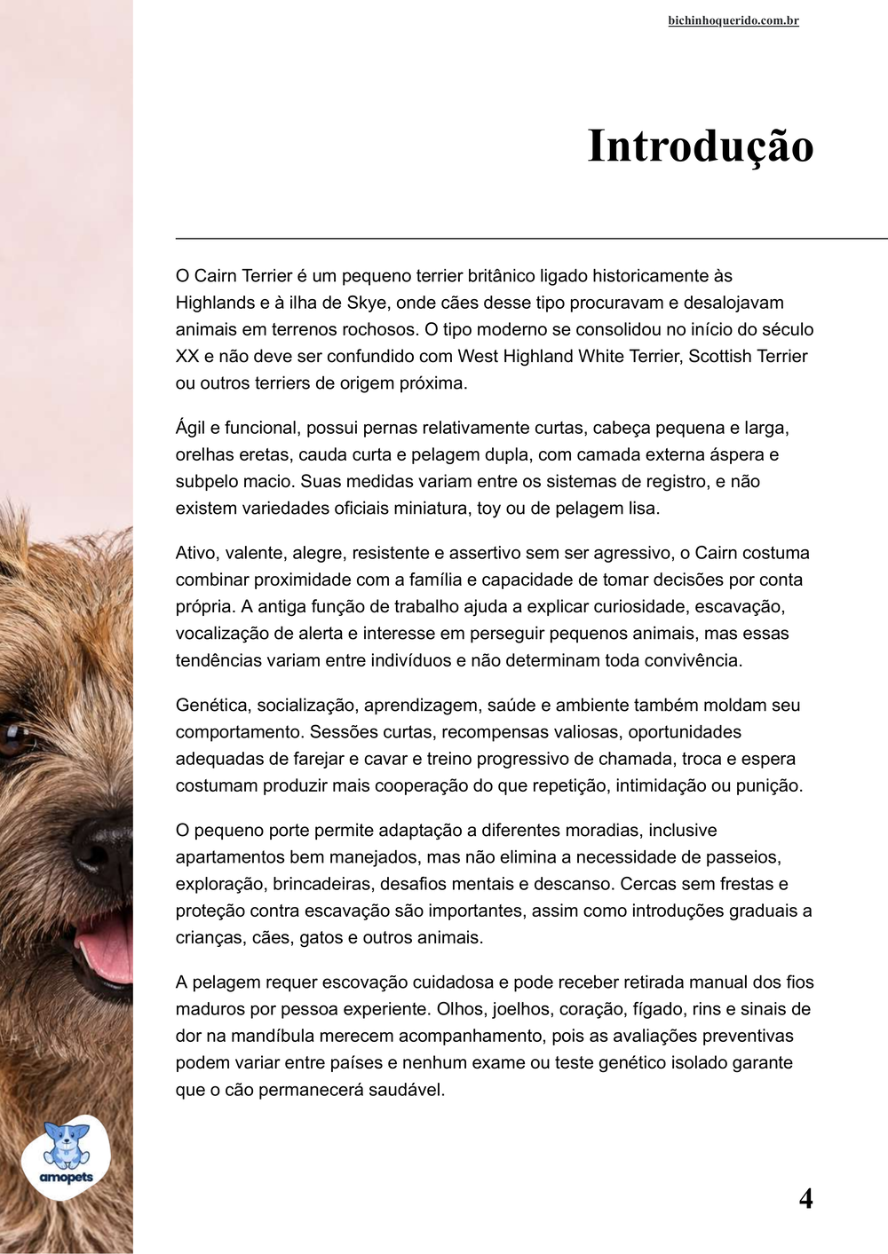 introdução do e-book Guia de Como Cuidar do Cairn Terrier