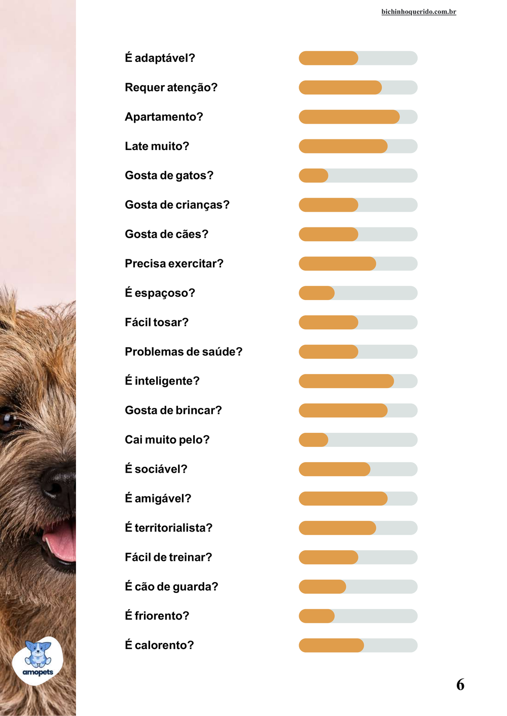 perfil da raça no e-book Guia de Como Cuidar do Cairn Terrier