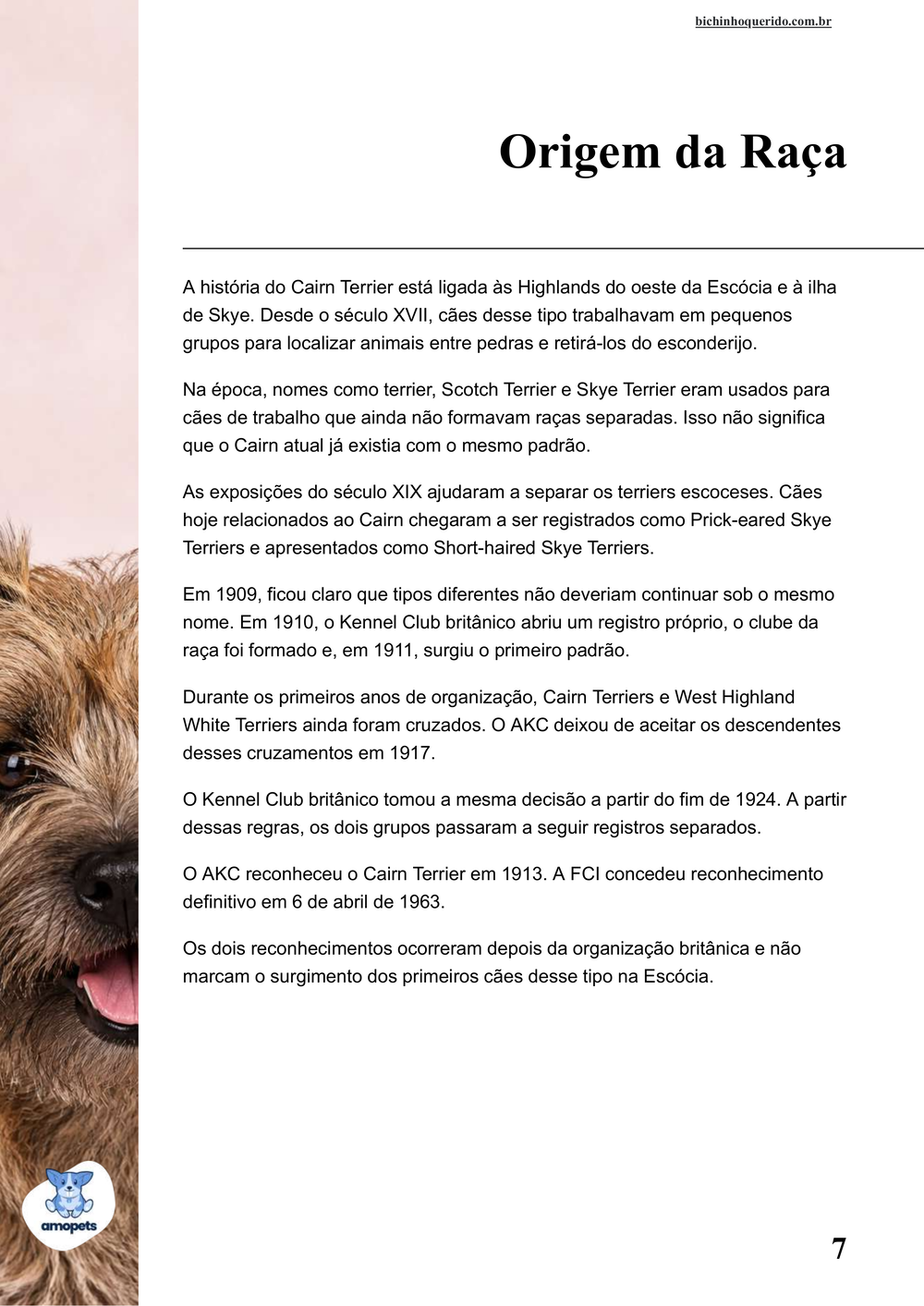 origem da raça no e-book Guia de Como Cuidar do Cairn Terrier