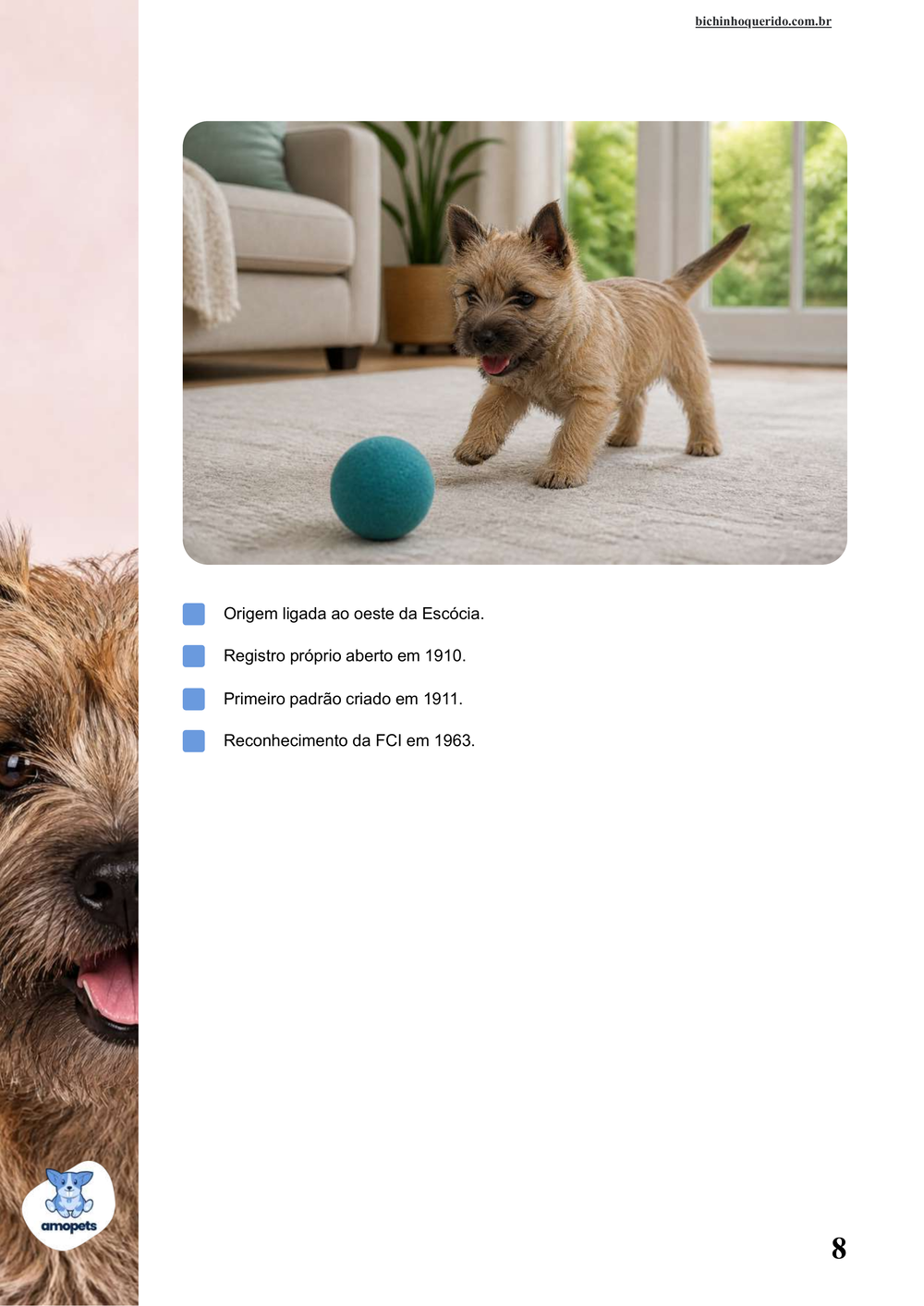 características do Cairn Terrier no e-book Guia de Como Cuidar do Cairn Terrier