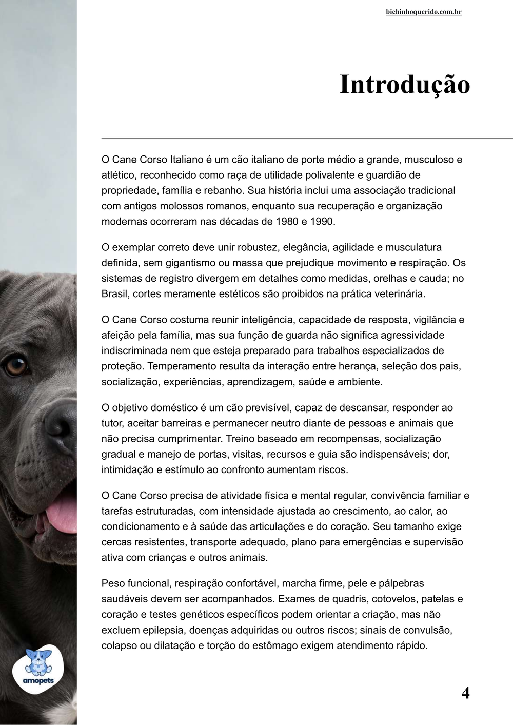 introdução do e-book Guia de Como Cuidar do Cane Corso