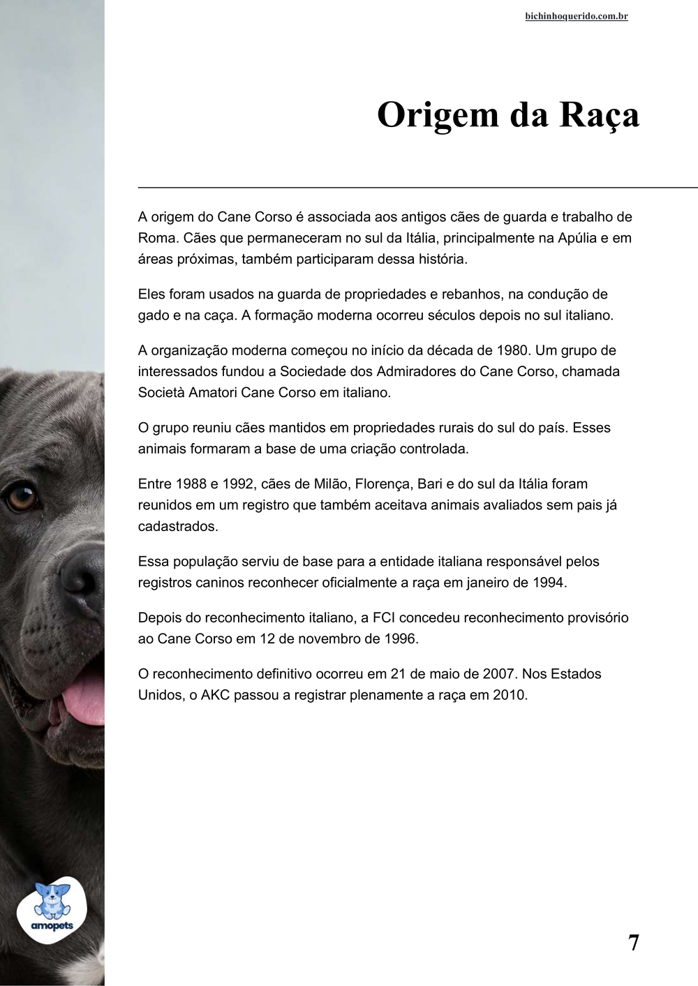 origem da raça no e-book Guia de Como Cuidar do Cane Corso