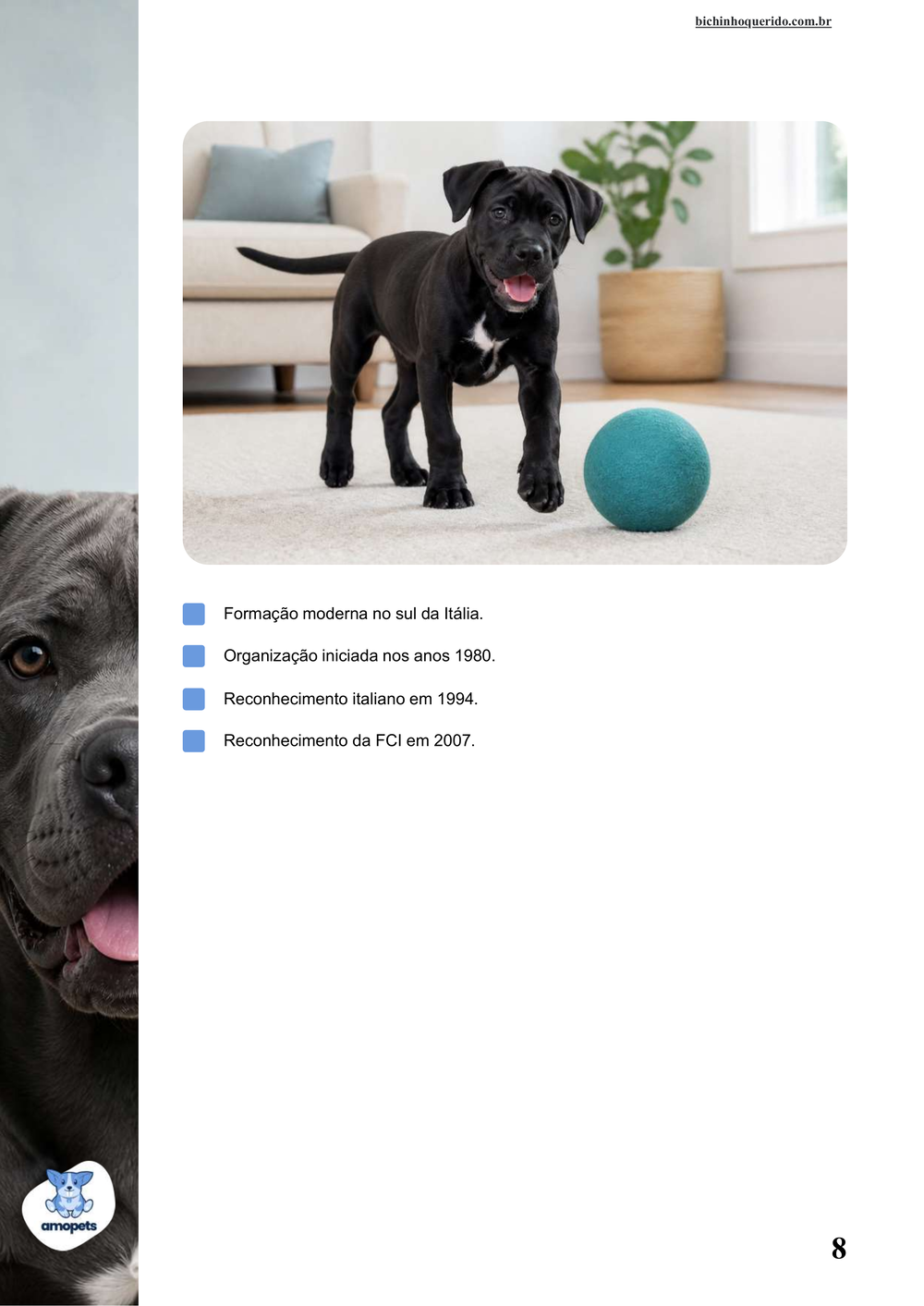 características do Cane Corso no e-book Guia de Como Cuidar do Cane Corso