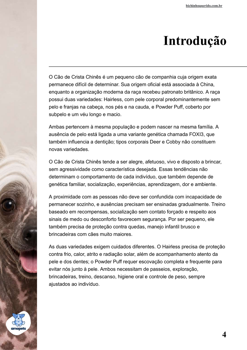 introdução do e-book Guia de Como Cuidar do Cão de Crista Chinês