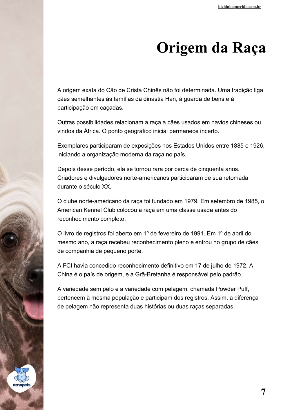 origem da raça no e-book Guia de Como Cuidar do Cão de Crista Chinês