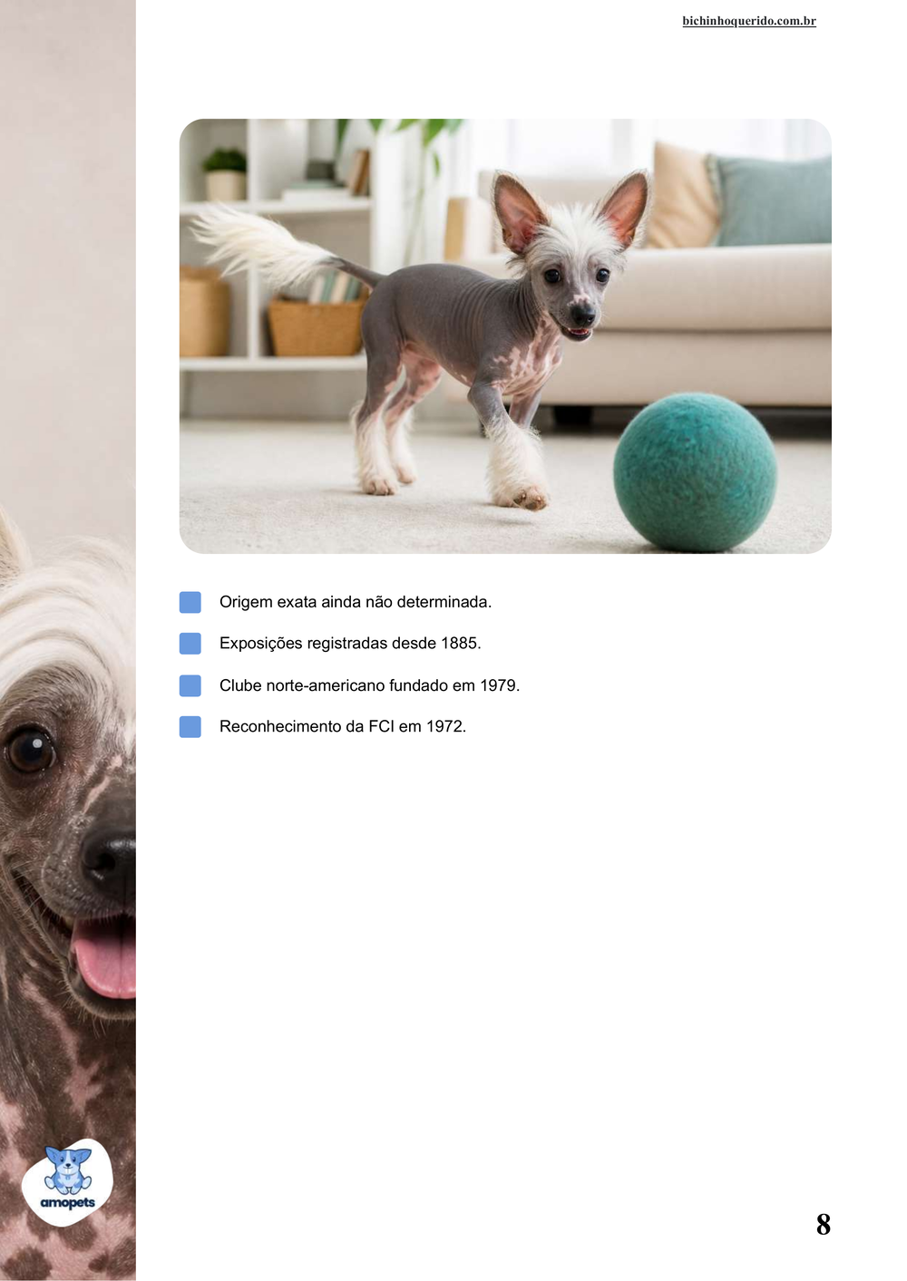 características do Cão de Crista Chinês no e-book Guia de Como Cuidar do Cão de Crista Chinês