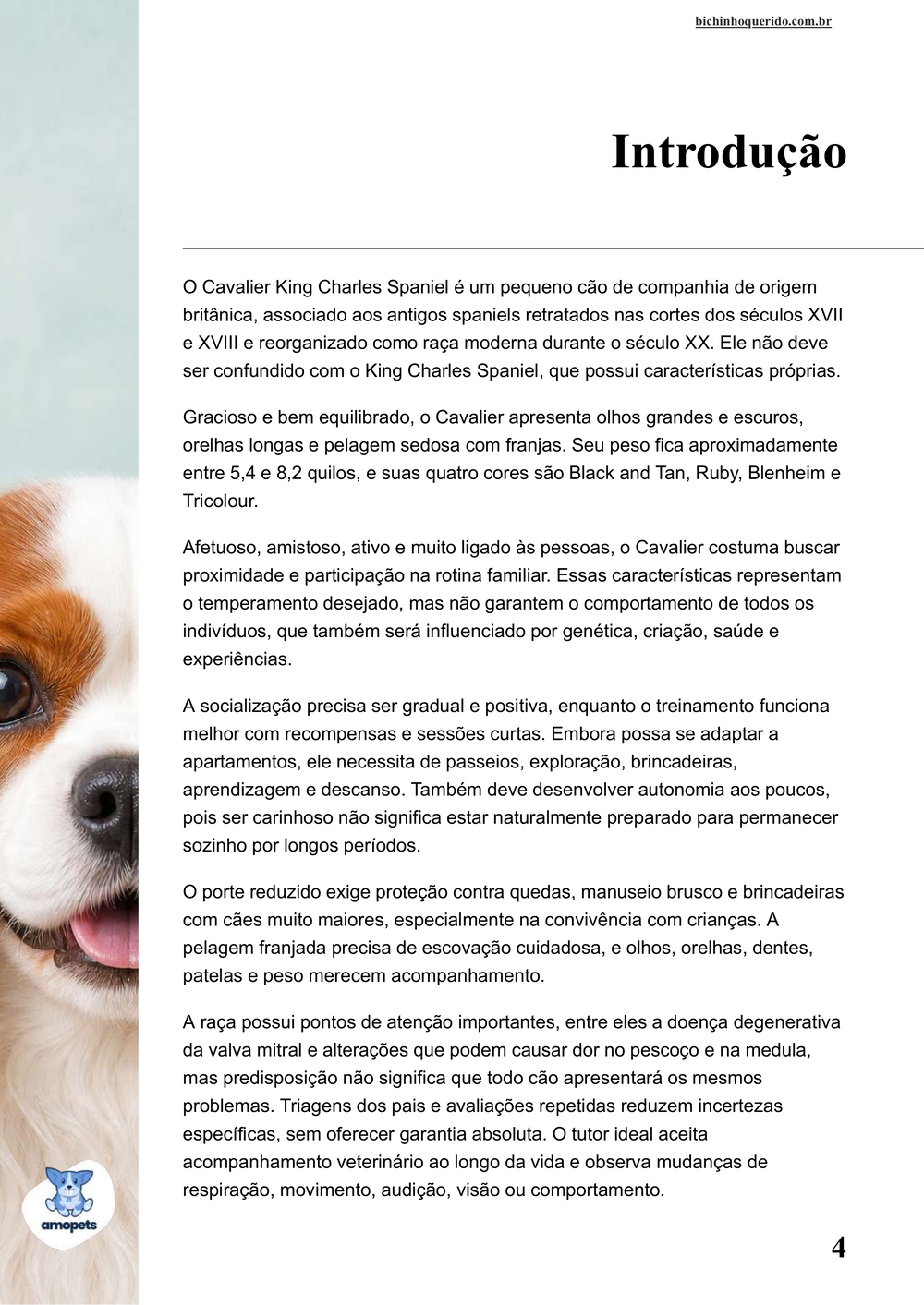 introdução do e-book Guia de Como Cuidar do Cavalier King Charles Spaniel