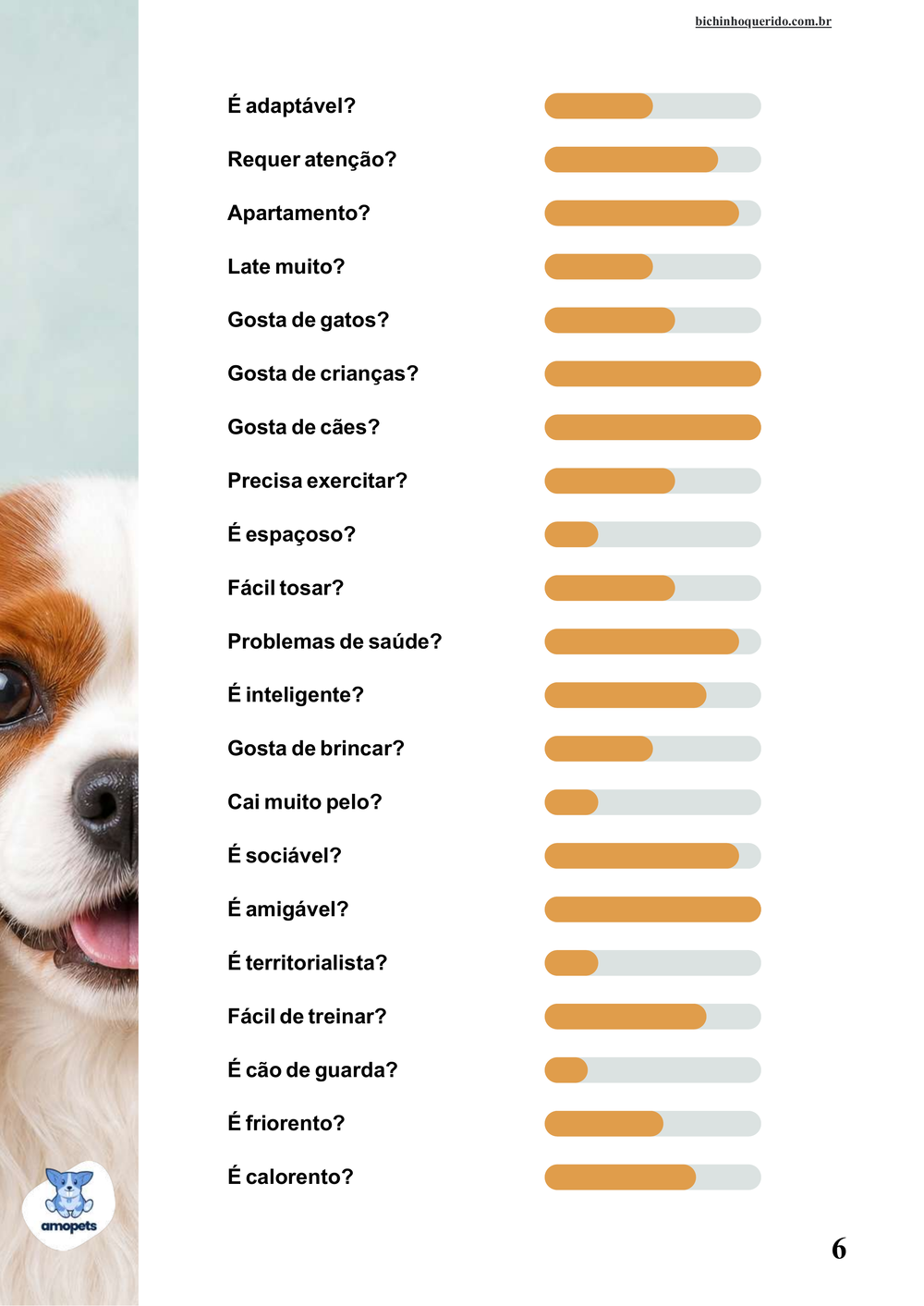 perfil da raça no e-book Guia de Como Cuidar do Cavalier King Charles Spaniel