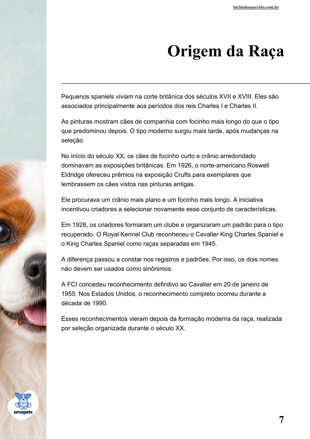 origem da raça no e-book Guia de Como Cuidar do Cavalier King Charles Spaniel