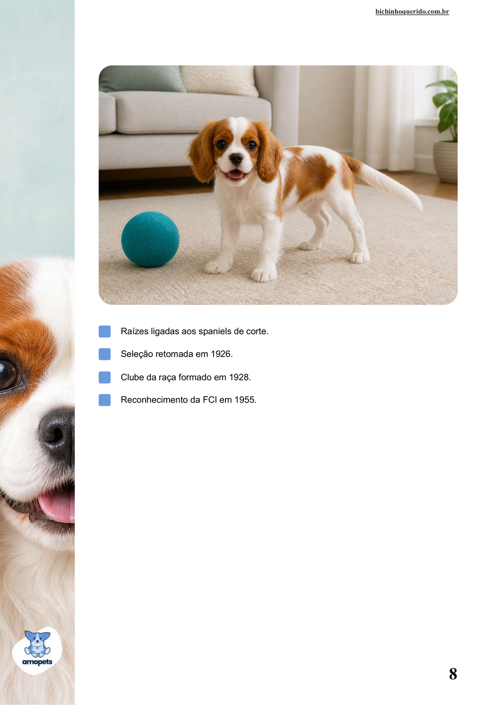 características do Cavalier King Charles Spaniel no e-book Guia de Como Cuidar do Cavalier King Charles Spaniel
