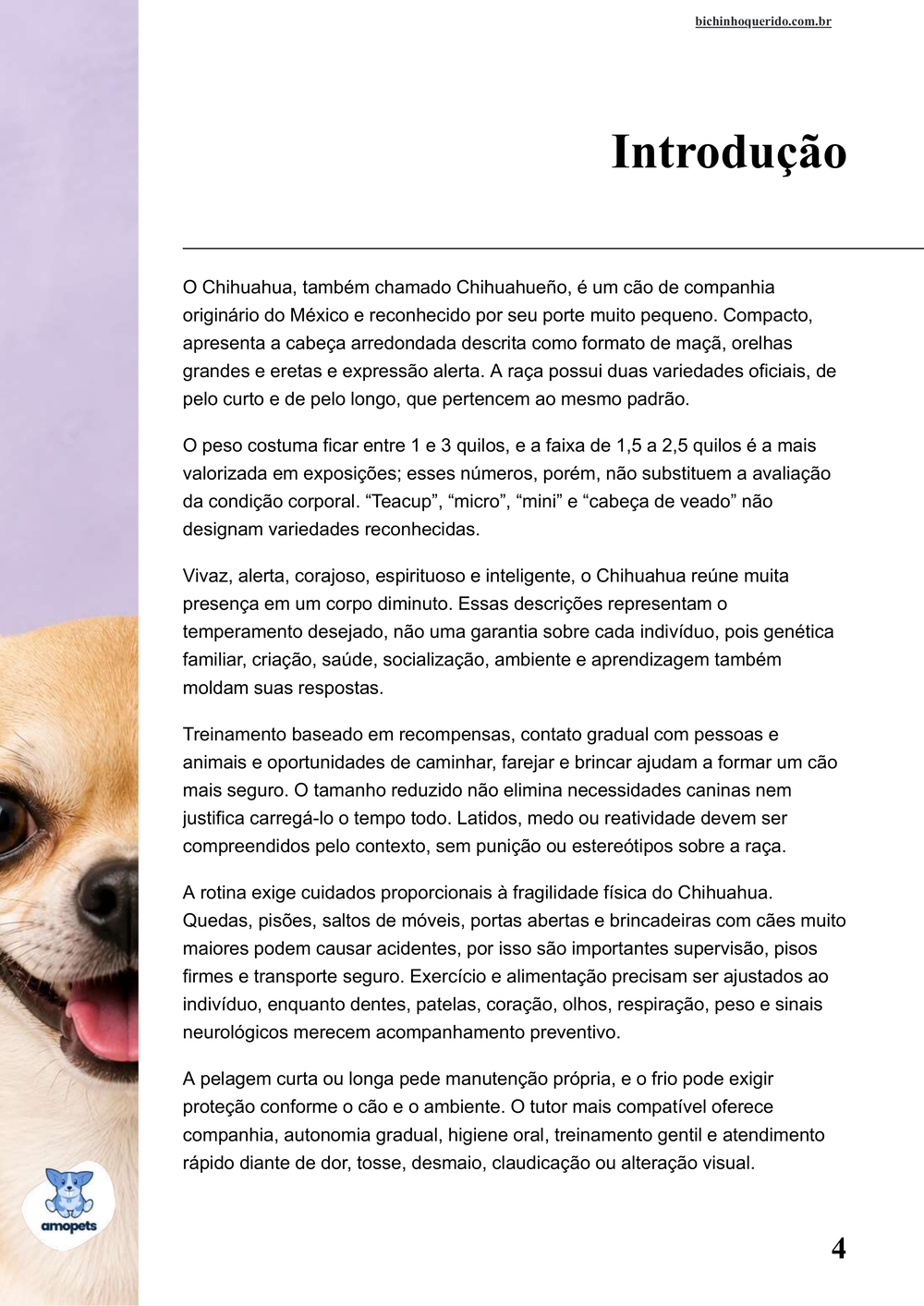 introdução do e-book Guia de Como Cuidar do Chihuahua