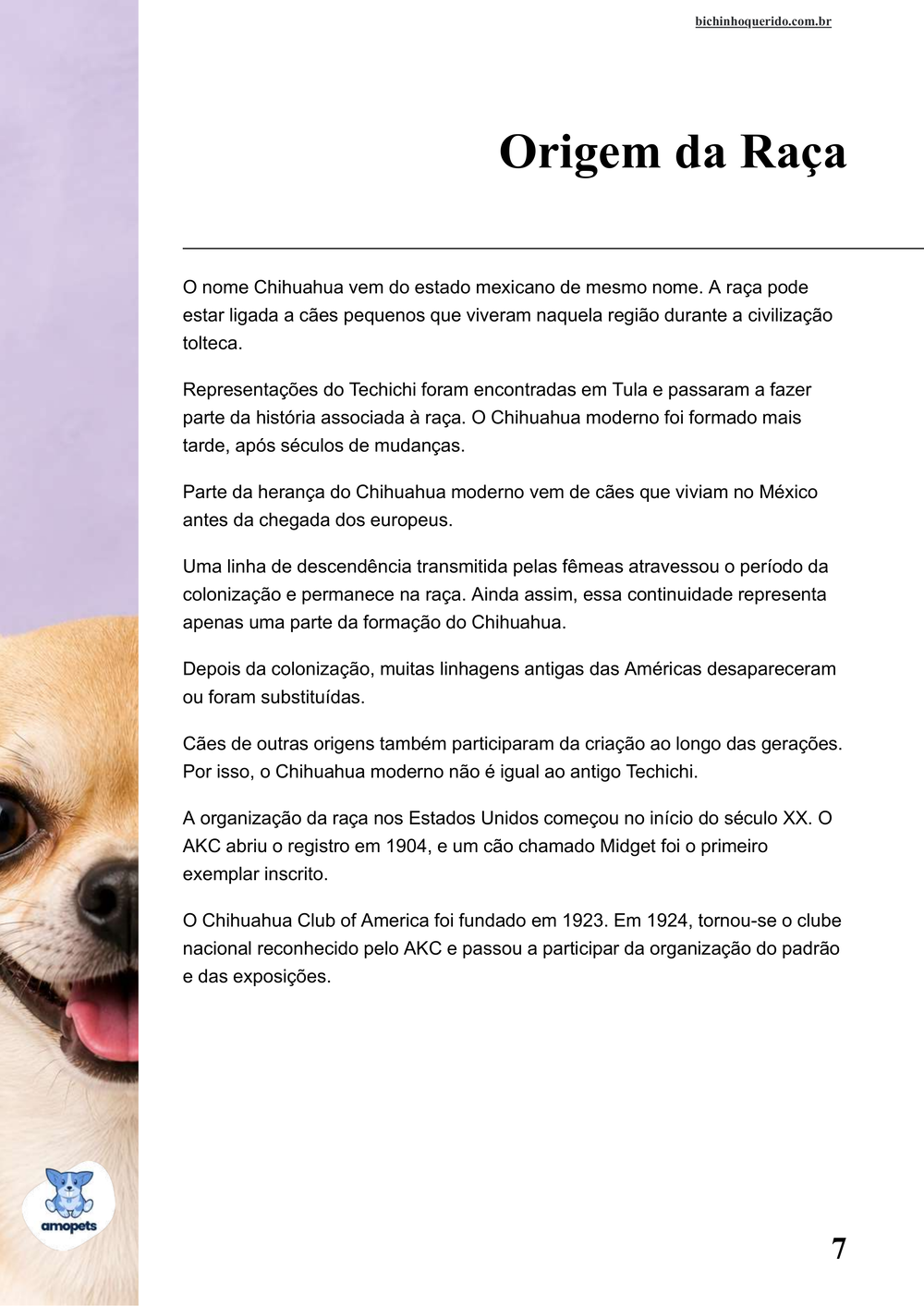 origem da raça no e-book Guia de Como Cuidar do Chihuahua