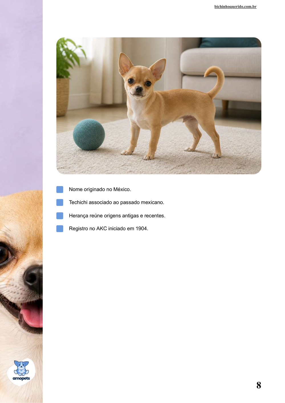 características do Chihuahua no e-book Guia de Como Cuidar do Chihuahua