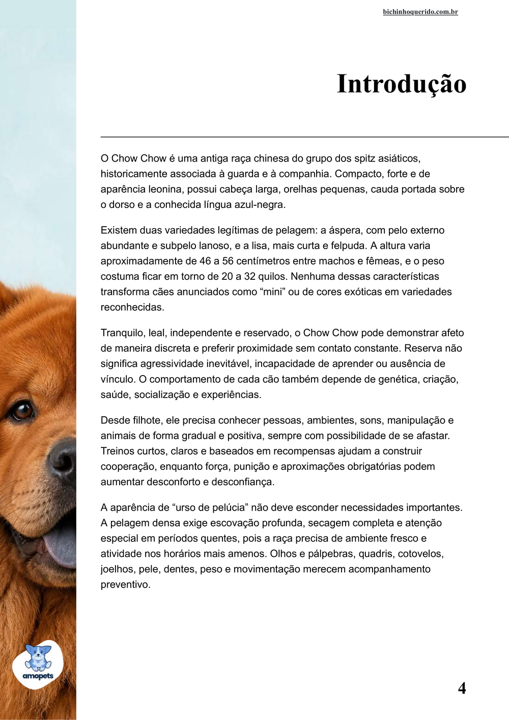 introdução do e-book Guia de Como Cuidar do Chow Chow