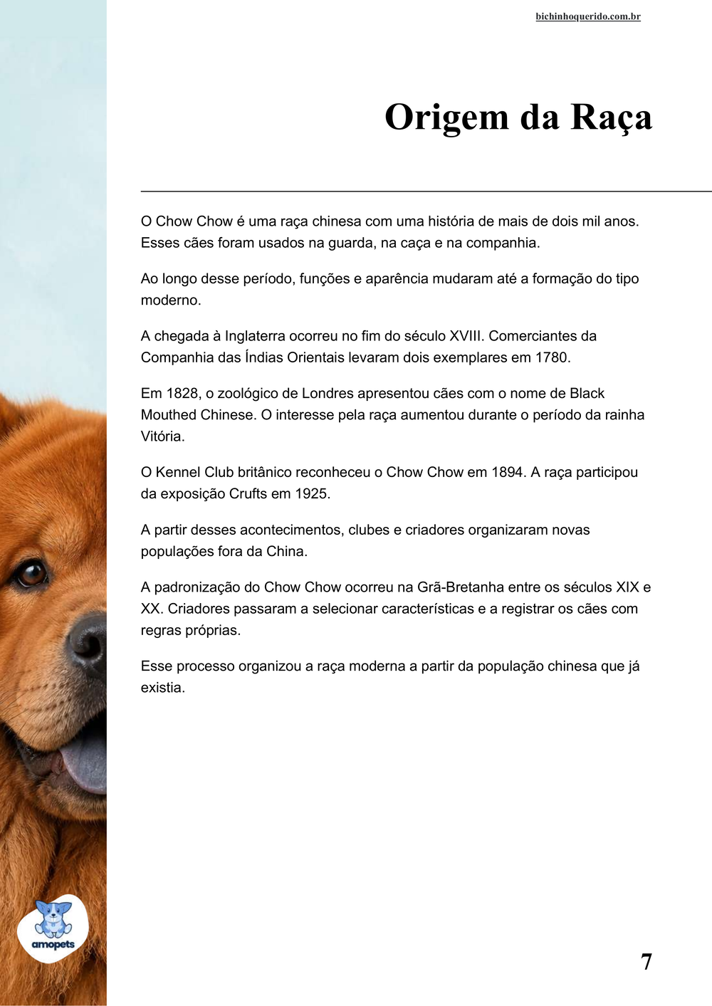 origem da raça no e-book Guia de Como Cuidar do Chow Chow