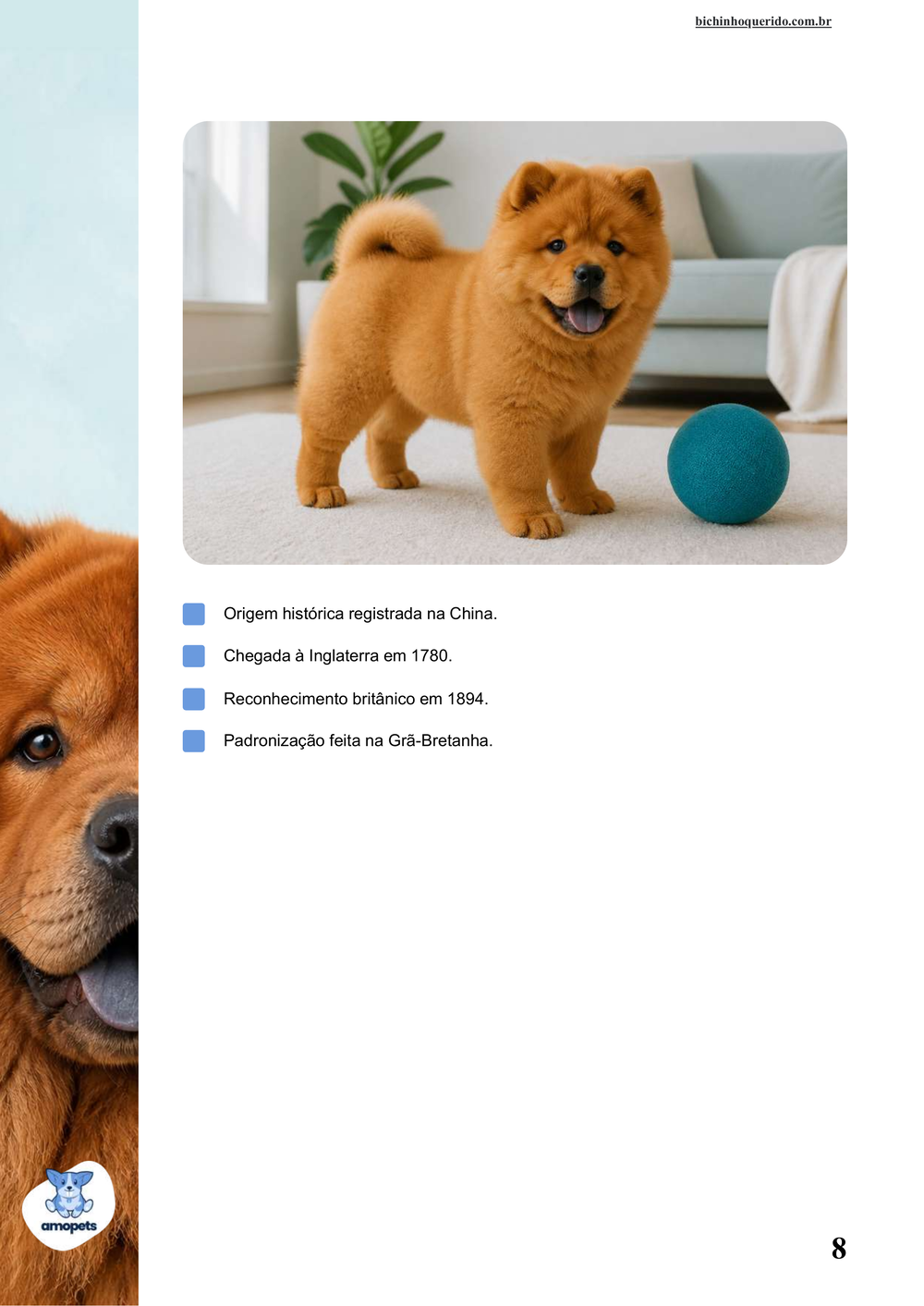 características do Chow Chow no e-book Guia de Como Cuidar do Chow Chow