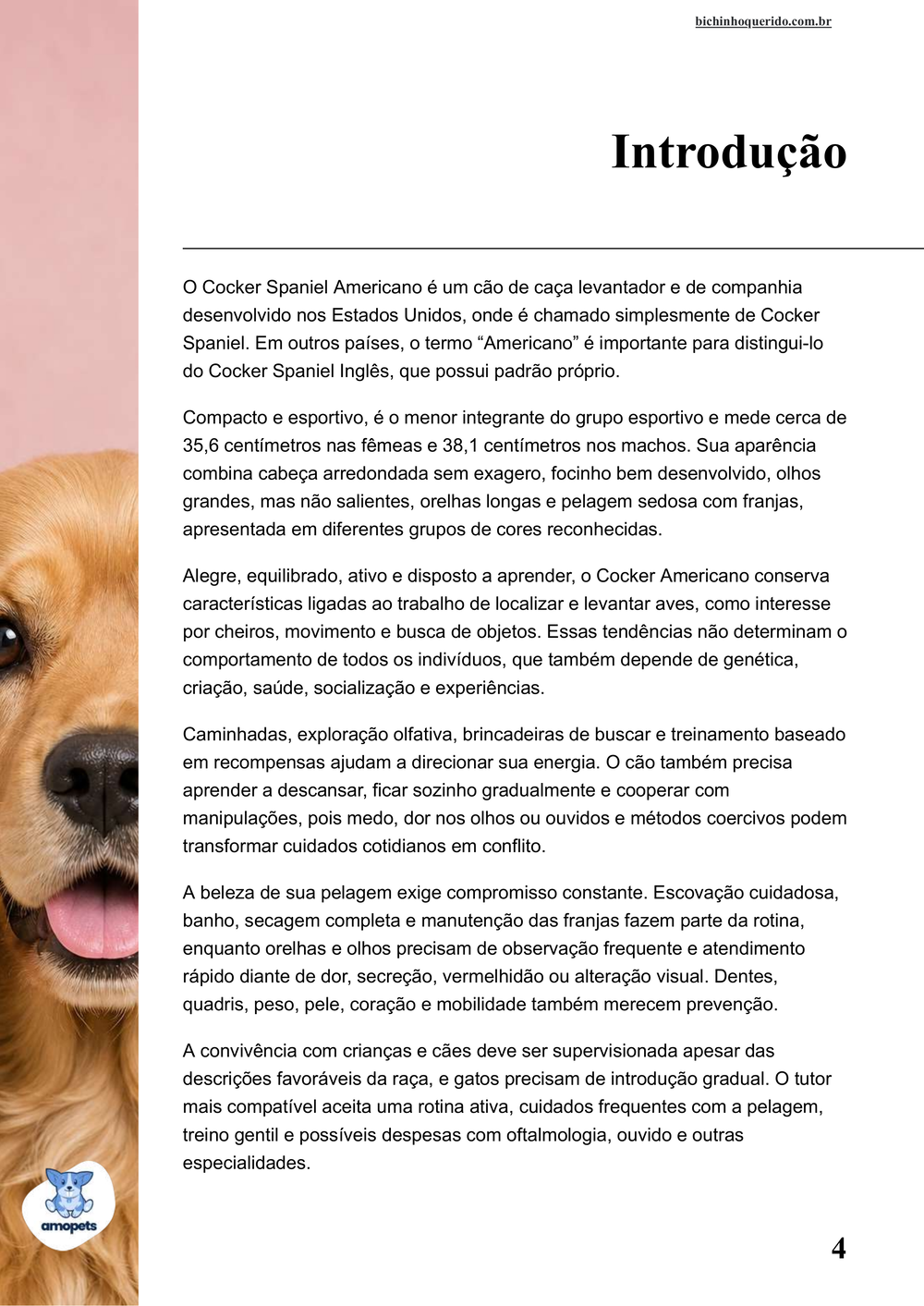 introdução do e-book Guia de Como Cuidar do Cocker Spaniel Americano