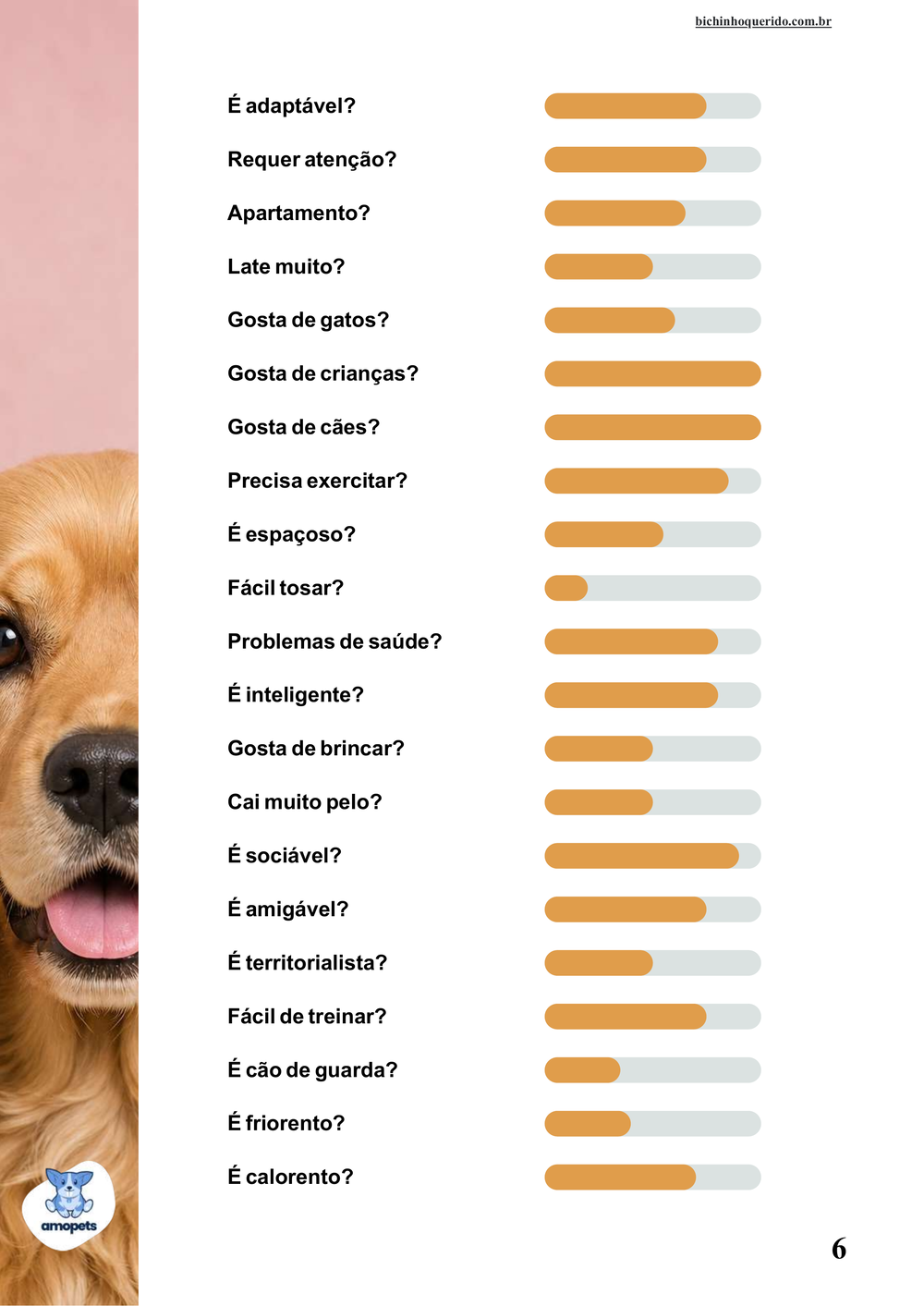 perfil da raça no e-book Guia de Como Cuidar do Cocker Spaniel Americano