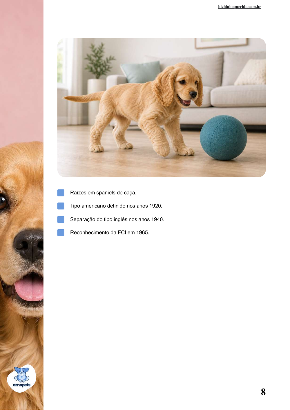 características do Cocker Spaniel Americano no e-book Guia de Como Cuidar do Cocker Spaniel Americano