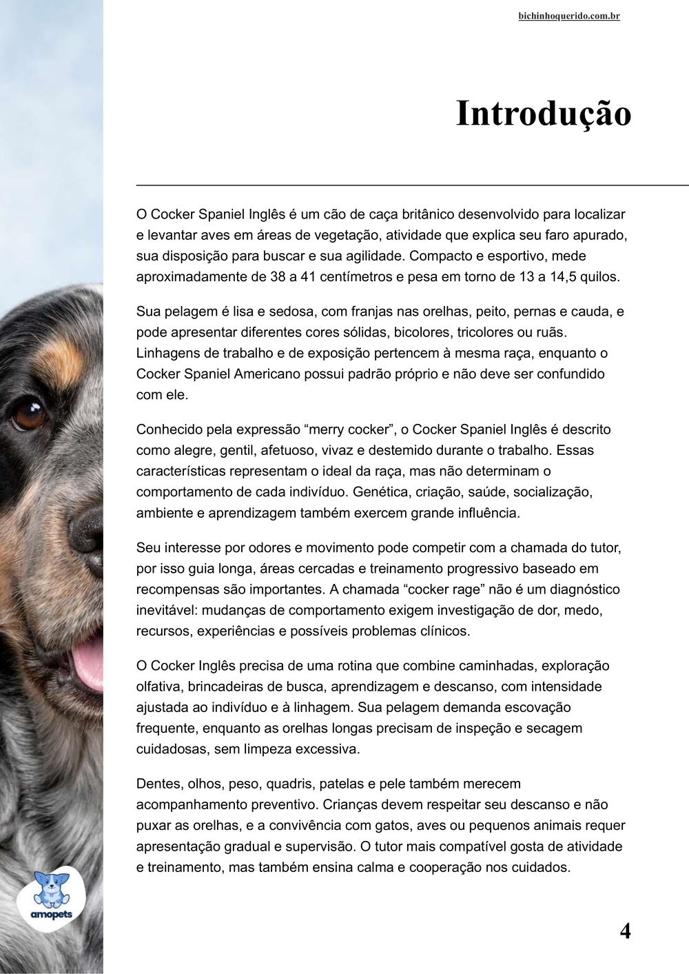 introdução do e-book Guia de Como Cuidar do Cocker Spaniel Inglês