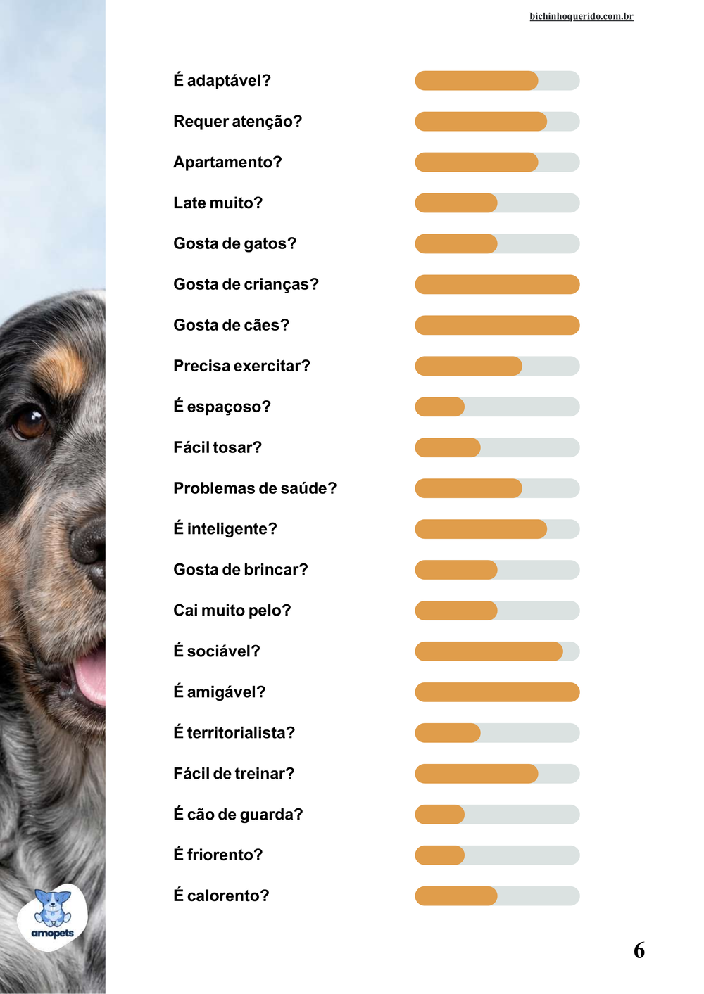 perfil da raça no e-book Guia de Como Cuidar do Cocker Spaniel Inglês