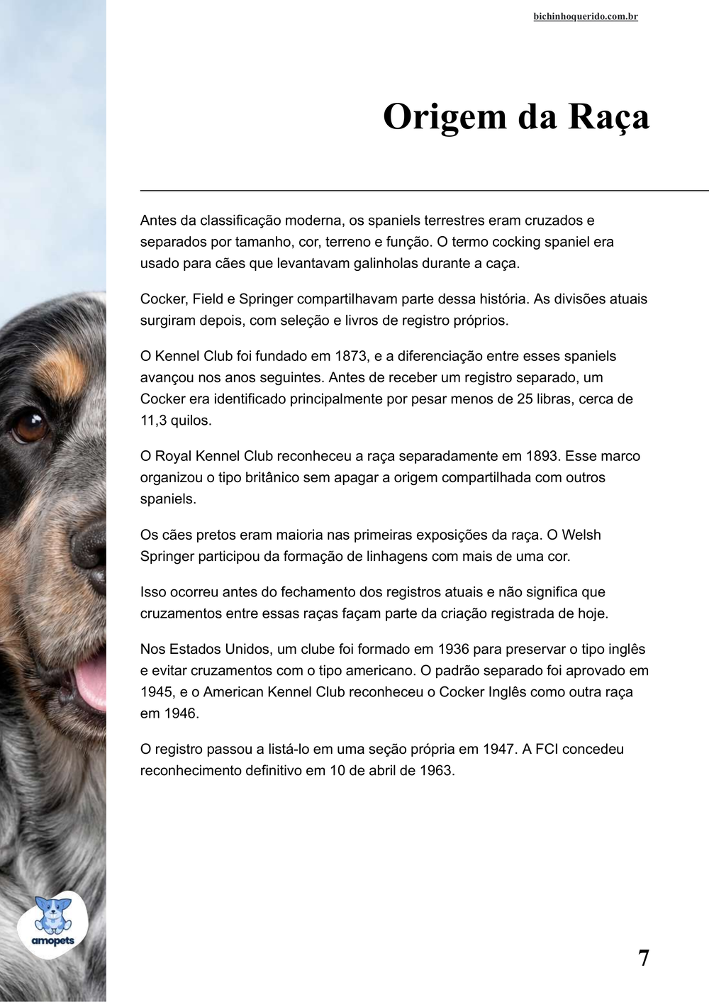 origem da raça no e-book Guia de Como Cuidar do Cocker Spaniel Inglês