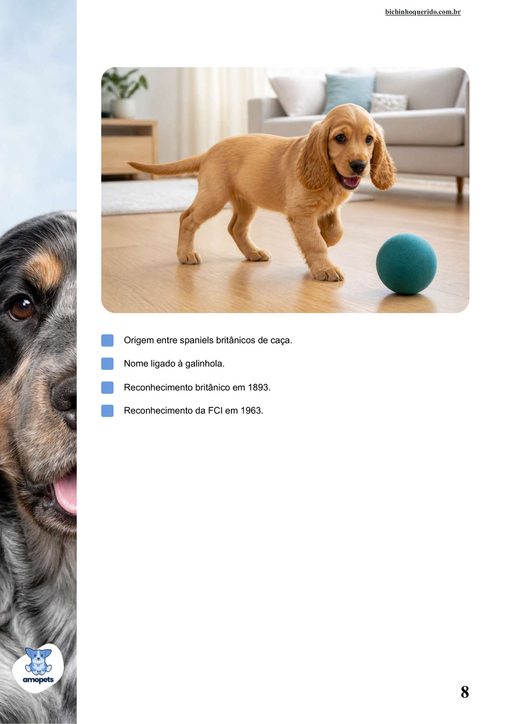 características do Cocker Spaniel Inglês no e-book Guia de Como Cuidar do Cocker Spaniel Inglês