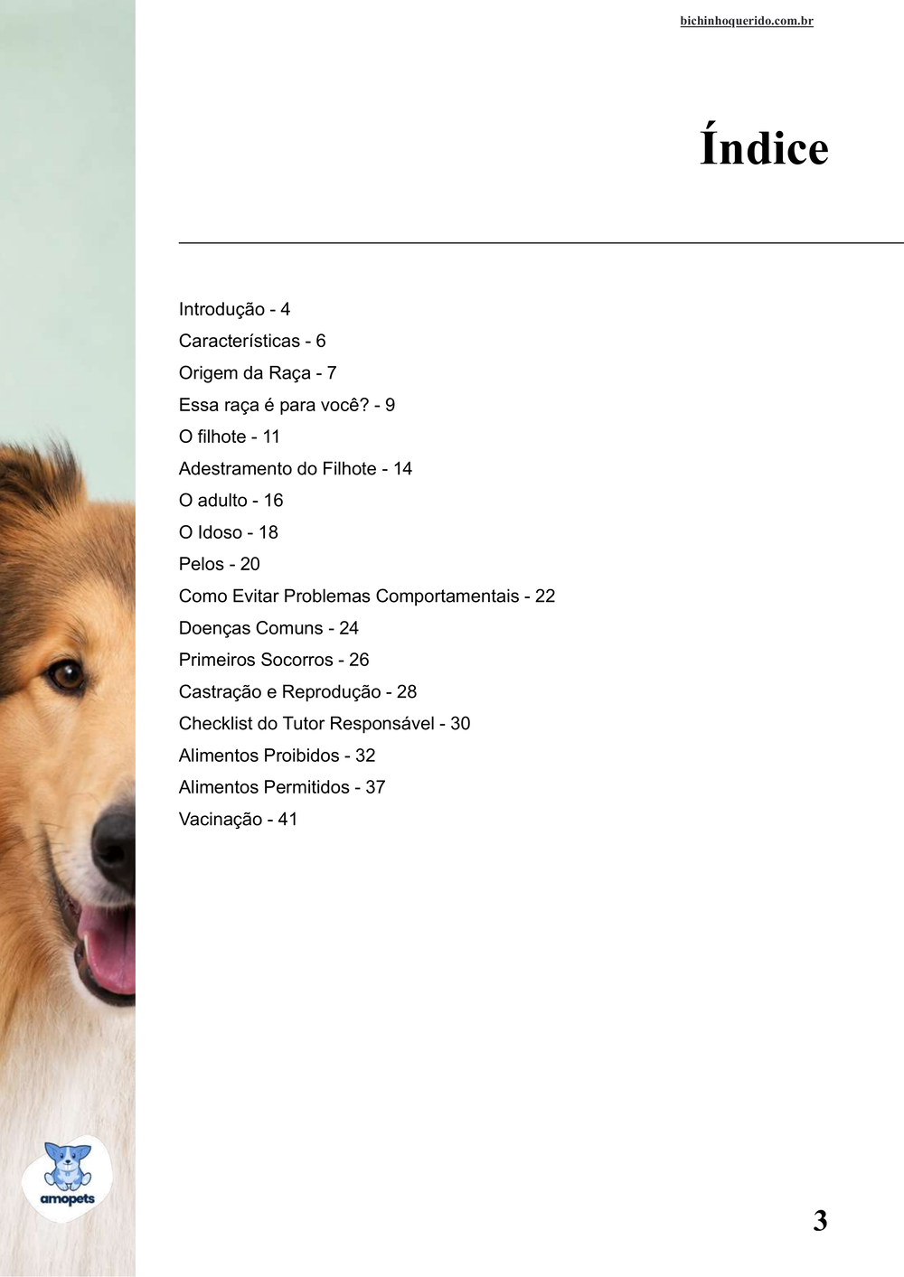índice do e-book Guia de Como Cuidar do Collie