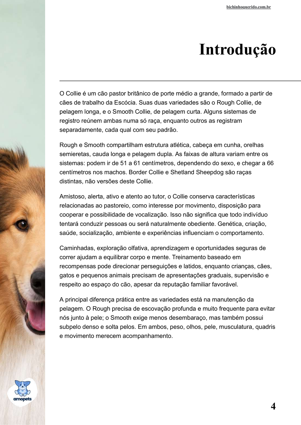 introdução do e-book Guia de Como Cuidar do Collie