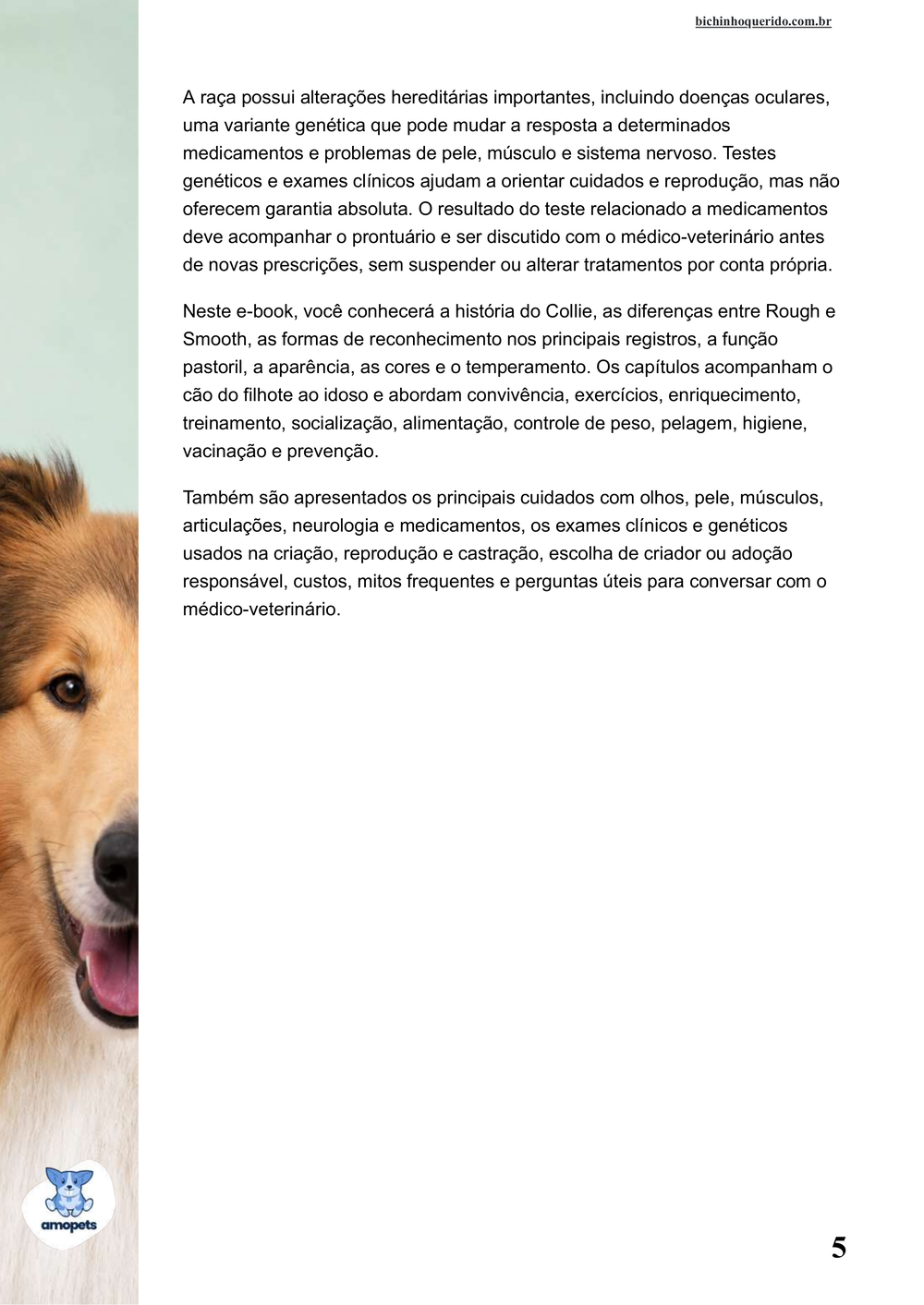 continuação da introdução do e-book Guia de Como Cuidar do Collie