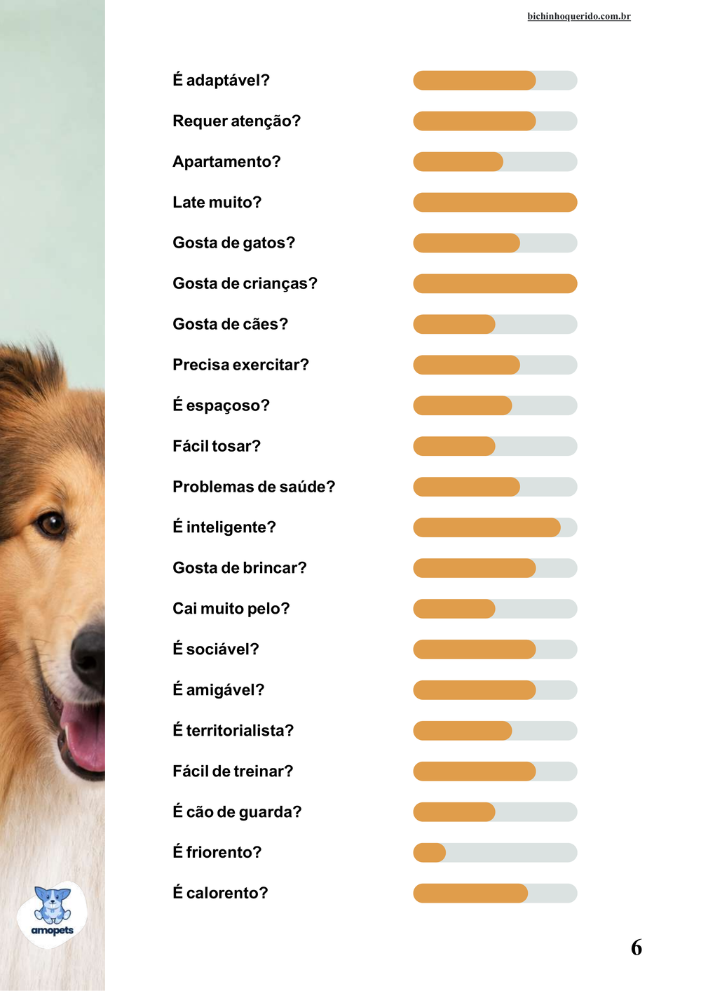 perfil da raça no e-book Guia de Como Cuidar do Collie