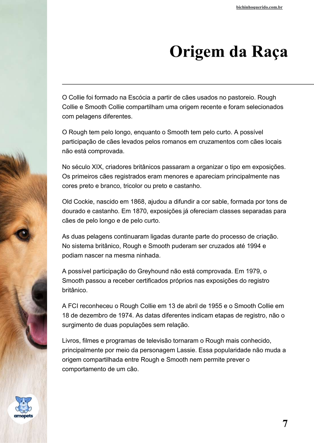 origem da raça no e-book Guia de Como Cuidar do Collie