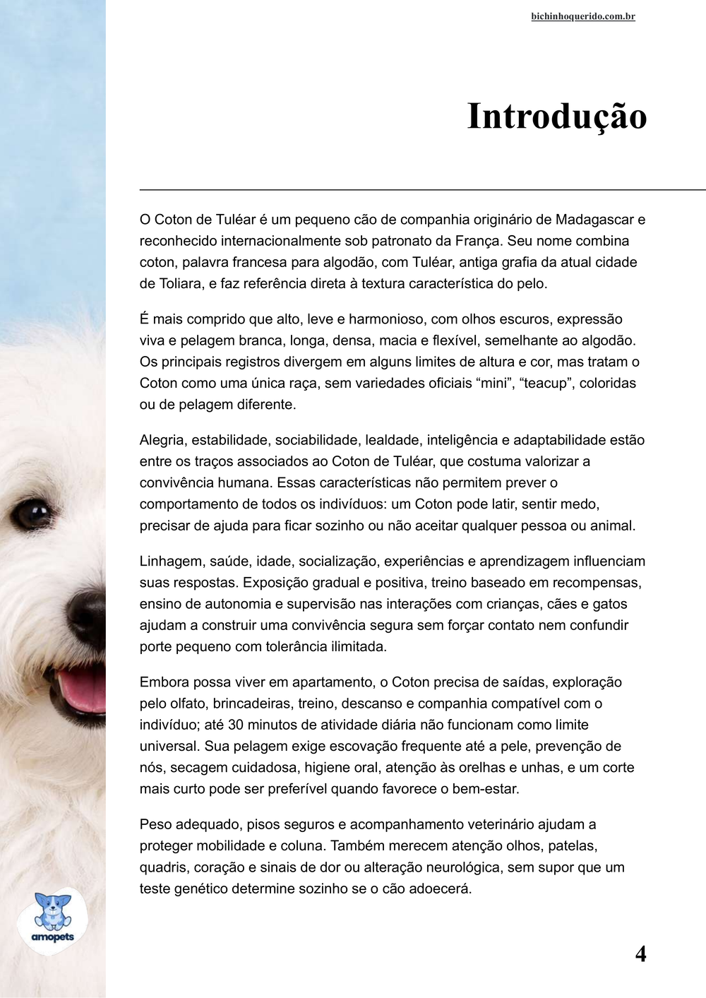 introdução do e-book Guia de Como Cuidar do Coton de Tulear