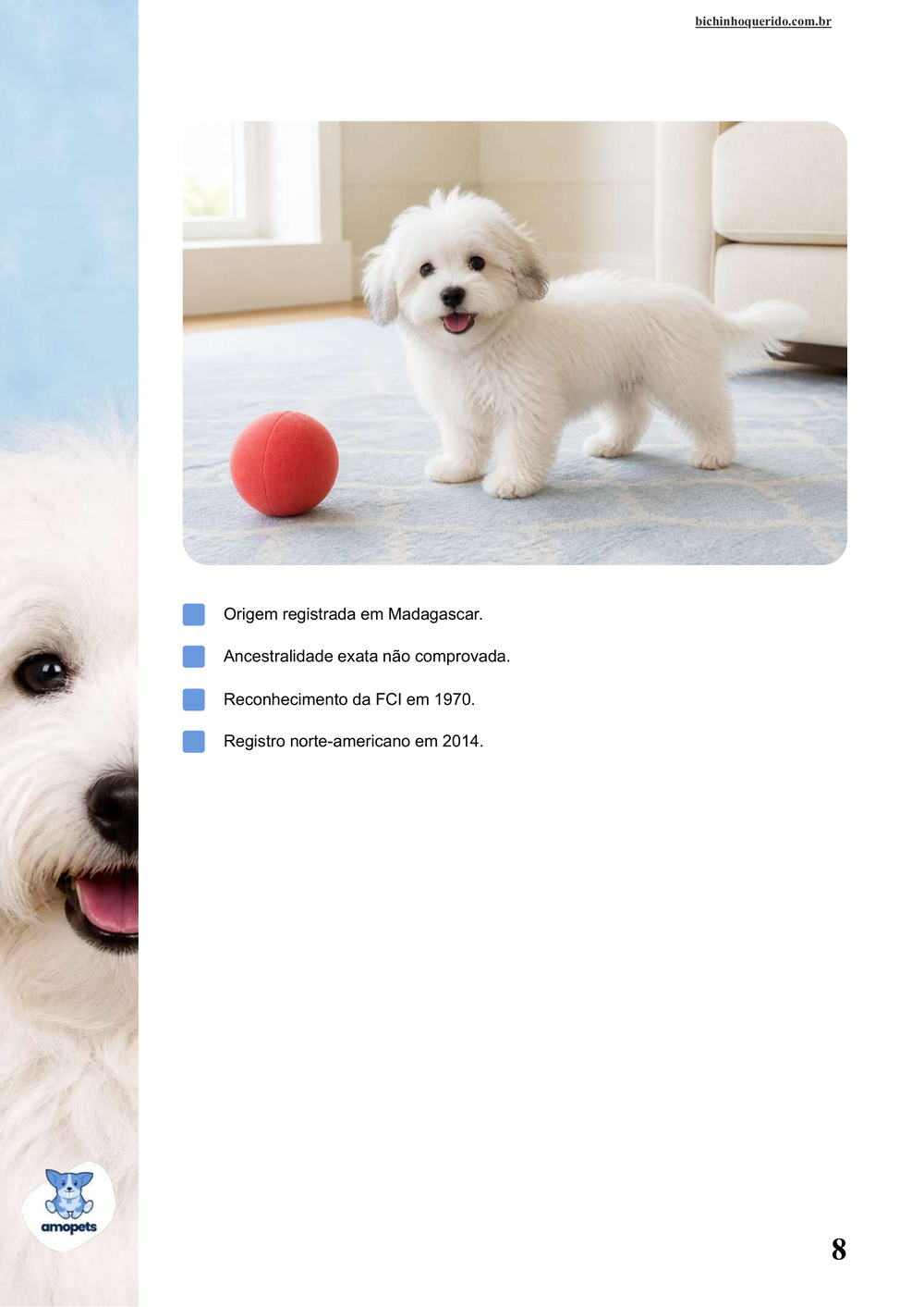 características do Coton de Tulear no e-book Guia de Como Cuidar do Coton de Tulear