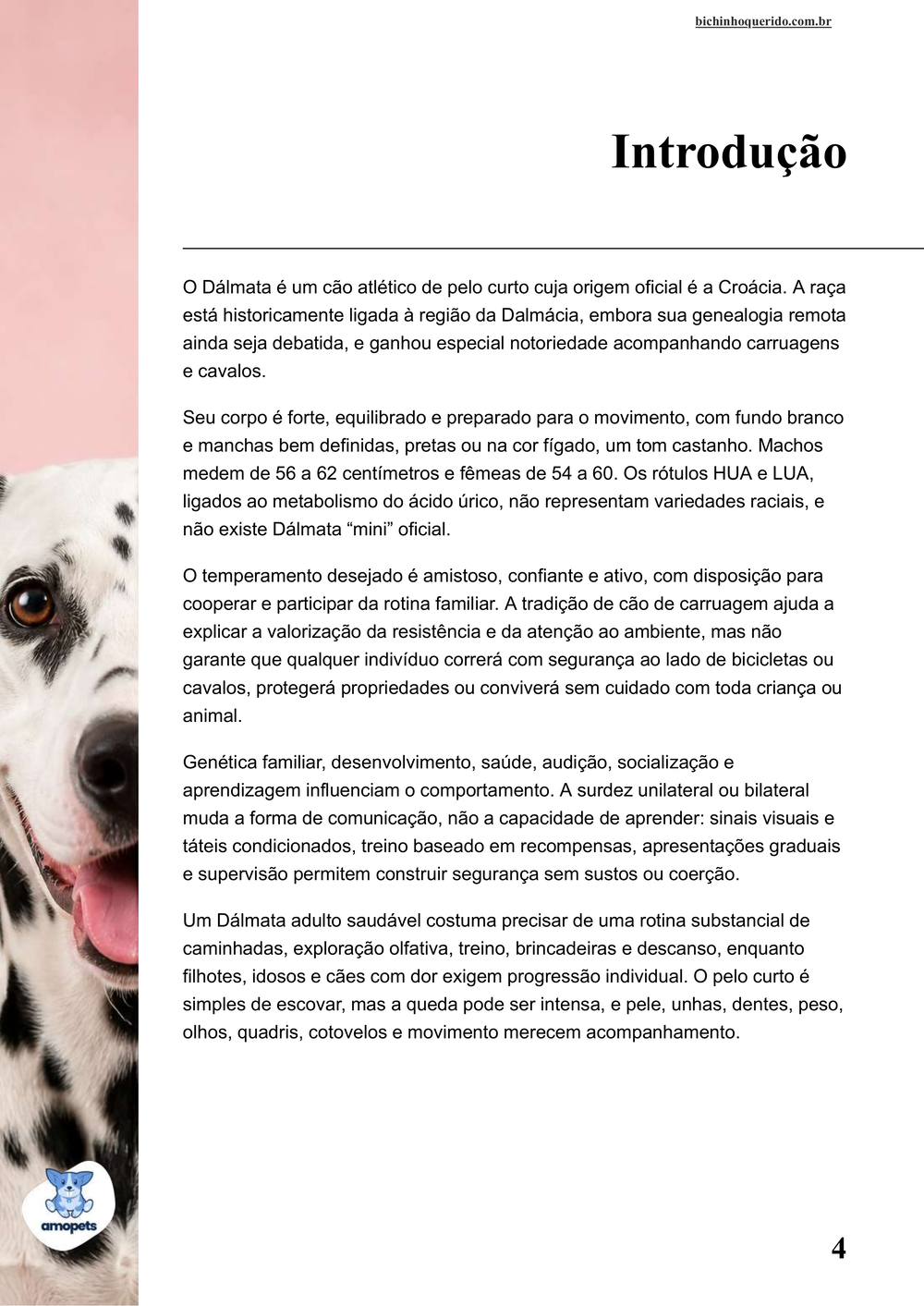 introdução do e-book Guia de Como Cuidar do Dálmata