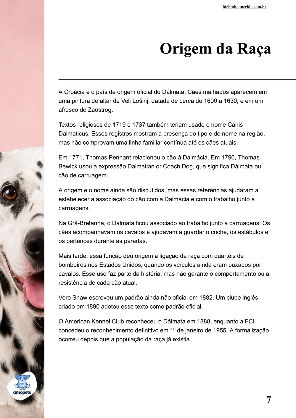 origem da raça no e-book Guia de Como Cuidar do Dálmata