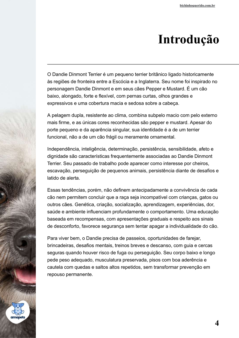 introdução do e-book Guia de Como Cuidar do Dandie Dinmont Terrier